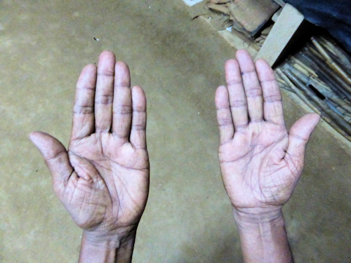 mains guru karunapala